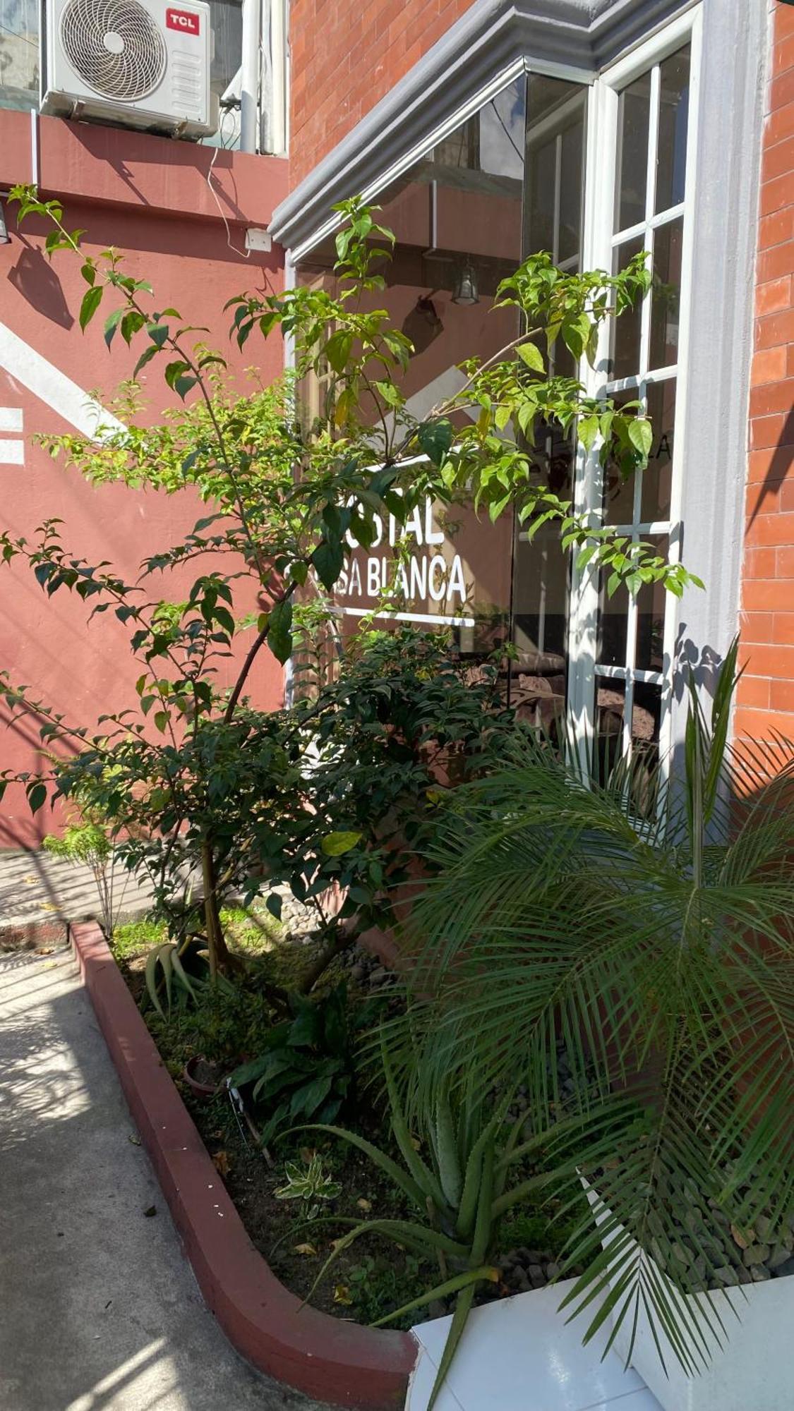 Hostal Casa Blanca Puerto Francisco de Orellana Luaran gambar